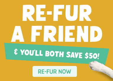 Banner image inviting users to refer a friend and receive $50 in credit